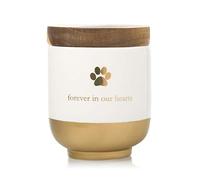 Pearhead Urna de cerámica para Mascotas para Siempre en Nuestros Corazones, Conmemorativa para Mascotas, urna Dorada para Mascotas, Conmemorativa para Perro o Gato
