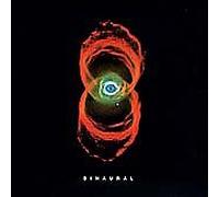 Pearl Jam - Binaural