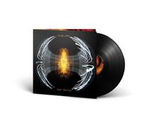 Pearl Jam Dark Matter (Vinyl) 12" Album (Importación USA)