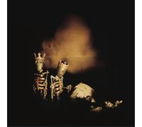 Pearl Jam Riot Act (Vinyl) 12" Album (Importación USA)