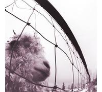 Pearl Jam - Vs. (30Th Anniversary Edition)