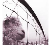 Pearl Jam Vs. (LP)