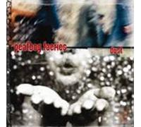 Peatbog Faeries – Dust – CD