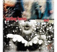 Peatbog Faeries,the - Dust
