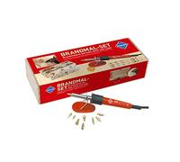 Pebaro 0266 - Pistón de pirograbado con 9 puntas y sellos en caja de madera, para la pintura y para escribir, dibujar y grabar sobre madera, cuero, corcho y otros materiales, plástico