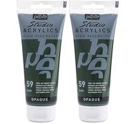 PEBEO - Acrílico Fine Studio - Pintura acrílica Verde - Verde Vejiga Opaco - 100 ml (Paquete de 2)