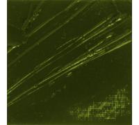 Pebeo Studio XL Fino Artista Pintura de Aceite 200ml-52 Colores Disponibles