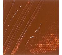 Pebeo Studio XL Fino Artista Pintura de Aceite 200ml-52 Colores Disponibles