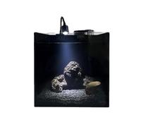pecera Acuario de Cristal Cuadrado Negro. Pequeño Acuario de Escritorio de una Pieza de Cristal con Accesorios.
