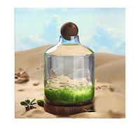 pecera Botella de Vidrio for pecera, Cultivo ecológico, micropaisaje, Tanque Plantas pequeño autocirculante con Base Madera, Adornos Escritorio(Grande)