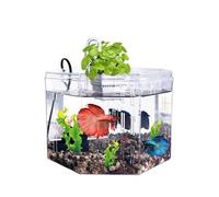 pecera Caja de Aislamiento for Acuario pequeño, Especial for cría, acrílico Transparente con Bomba de filtración, Ideal for Uso Ornamental en Oficina y hogar.