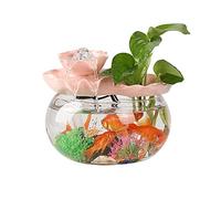 Pecera Creativa con circulación de Agua, pecera de Vidrio con Ventana de escritoa pequeña Dorada para el hogar, decoración paisajística, Adornos para exhibición de Escritorio (7,48 Pulgadas)