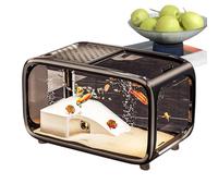 pecera de Escritorio - Pequeño Acuario paisajístico para Betta, Recipiente acrílico Transparente, hábitat para Tortuga, Caracoles, Betta, plantación acuática