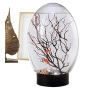 pecera - Mini acuario de 7.09x4.72 pulgadas con iluminación, expositor de mostrador, acento decorativo natural para residencial | Construcción ligera de PET Appl