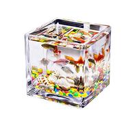 Pecera Mini pecera Cuadrada de Cristal Transparente for Escritorio, Tanque De Agua for el hogar, Hierba, pez Betta, Peces Ornamentales, pecera pequeña Tanque de Peces de Colores (Size : 3.94IN)