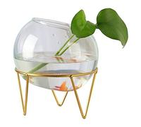 Pecera,Pecera de acuario, Tanque de peces con soporte creativo, de vidrio transparente, for plantas acuáticas, pequeño tanque ornamental for peces, tanque hidropónico, for oficina, hogar, acuario(4.33