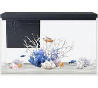 Pecera,Pecera,Kits de Inicio for Acuario,Pecera con luz y Bomba, Sistema de filtración de circulación, Acuario de Vidrio Transparente Cuadrado, Tanque ecológico for Paisaje acuático