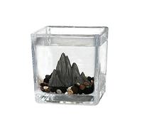 pecera Pecera Pequeña Escritorio Cuadrado Acuario Ecológico Micro Paisaje Habitación De Invitados Oficina Pequeños Adornos Taza Té Vidrio Rejilla(Pequeño)