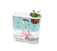 pecera Pecera Pequeña Micro Paisaje Transparente Grande Ecológica Hogar con Tapa Escritorio Ovalada se Pueden Plantar Plantas Acuáticas(Grande)