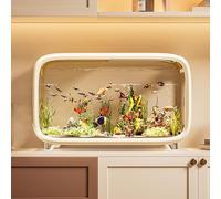 Pecera Pequeña, Tanque De Peces De Acuario, Diseño Transparente, Fácil Limpieza, Resistente, Pecera Betta, Ideal para Decoración del Hogar(White)