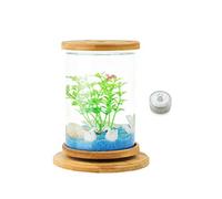pecera Transparente para Acuario, Pecera giratoria Creativa de Escritorio de Vidrio Transparente for Oficina, hogar, Botella ecológica, Peces Ornamentales pequeños, pecera Betta, pecera, pecera