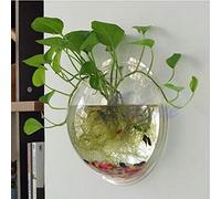 Peces de burbujas de acrílico transparente montado en la pared para tanque de flores, florero, decoración para colgar en la pared, pecera decorativa hidropónica de esquina con soporte