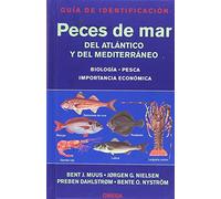 PECES DE MAR. GUIA DE IDENTIFICACION (GUIAS DEL NATURALISTA-PECES-MOLUSCOS-BIOLOGIA MARINA)