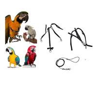 Pechera de loros ajustable medida Buceo Cacatúa elástica 10 mm cuello siempre negro bandas de colores, 2 ganchos enganches metal correa 3 mm 1 m (cuello negro bandas negras)