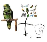 Pechera de loros negra ajustable con enganche rápido, medida de cotorras a amazonas elástica, cinta de 10 mm, hebillas de plástico o metal, correa de 10 mm y 1 m (ganchos de metal negro)