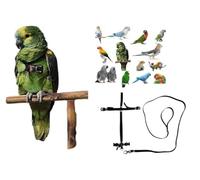 Pechera de loros negra ajustable con enganche rápido, medida de cotorras a amazonas elástica de 10 mm, hebillas de plástico o metal, correa de 10 mm, 1 m (hebillas de plástico)