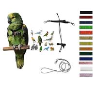 Pechera loros ajustable tamaño medio de cocorita a amazonas elástico 10 mm cuello siempre negro bandas de colores, 2 ganchos enganches metal correa 3 mm 1 m (cuello negro bandas naranja)
