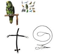 Pechera loros negra con enganche rápido, mediano de coco a amazón, grande y elástica, cinta elástica de 10 mm, hebillas de plástico o metal, correa de 3 mm, gancho de tornillo de 2 mm (ganchos de