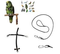 Pechera loros negra con enganche rápido, mediano de coco a amazón, grande y elástica, cinta elástica de 10 mm, hebillas de plástico o metal, correa de 4 mm, 1 m, gancho de tornillo de 4 mm (ganchos de