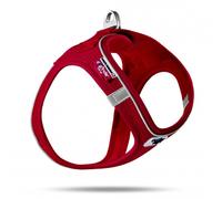 Pechera Magnetic Air-Mesh roja para perros - Curli - Tamaño: 2XS | Color del Producto: Rojo