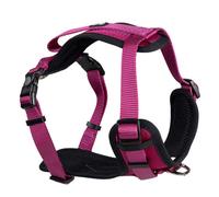 Pecho en Y Explor Classic para perro - Duvo Plus - Tamaño: XS | Color: Rosa