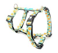 Pecho para perro Sweet Pineapple - Max & Molly - Tamaño: S