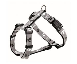 Pectoral SILVER REFLECT - Tamaño: M/L