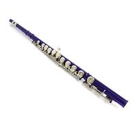 PECY Flauta Cuproníquel Plateada 16 Agujeros C Llave Instrumento De Viento De Madera Con Guantes Funda Acolchada Flautas traveseras (Size : Purple)