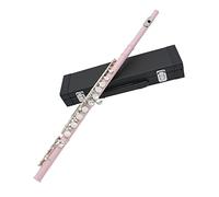 PECY Flauta De 16 Orificios, Llave C, Flauta De Color, Llave Cerrada Niquelada Más Llave E, Rendimiento Profesional para Principiantes Flautas traveseras (Size : Pink)