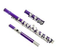 PECY Flauta De Llave C De 16 Agujeros para Principiantes para Tocar Flauta De Latón De Agujero Cerrado Flautas traveseras (Size : Purple)