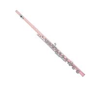 PECY Flauta De Llave C De 16 Agujeros para Principiantes para Tocar Flauta De Latón De Agujero Cerrado Flautas traveseras (Size : Pink)