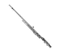 PECY Flauta De Llave C De 16 Agujeros Para Principiantes Para Tocar Flauta De Latón De Agujero Cerrado Flautas traveseras (Size : Silver)