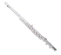 PECY Instrumento Musical De Flauta 16/17 Agujero De Apertura Y Cierre Plateado Llave C Llave E Para Que Los Estudiantes Jueguen Flautas traveseras (Size : 16silver)