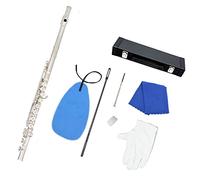 PECY Llave C Niquelada, Banda De Flauta De 16 Agujeros, Llave Cerrada De Rendimiento Más Llave E, Instrumento De Flauta Profesional Flautas traveseras (Color : Silver)