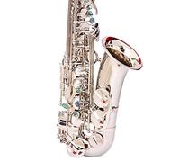 PECY Saxofones E Flat Alto Saxofón De Plata Níquel