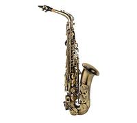 PECY Saxofones Nueva Caja De Regalo De Saxofón Dorado Y Alto Saxofón De La Boquilla Super Excelente Instrumento De Juego (Color : Green Bronze)