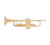 PECY Trompeta Profesional B Trompeta De Latón Chapada En Oro para Principiantes para Tocar Instrumentos De Banda De Examen Trompeta