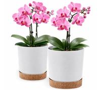 PECZEKO Macetero mate, macetero de plástico, maceta decorativa para plantas grandes y pequeñas, juego de 2 macetas, macetero para hierbas (2 unidades), color blanco, diámetro de 15 cm