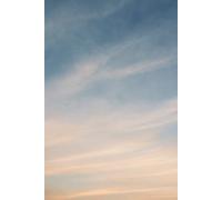 Pedagogia para uma nova mente - Volume II: Estudo do prāṇa