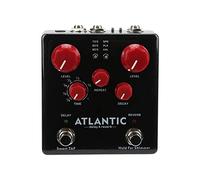 Pedal Multi Delay Reverb para Guitarra, Metal Negro, 3 Tipos de Reverberación y Efectos de Retraso - Control Interno de Enrutamiento, Entrada y Salida Estéreo, Uso Profesional